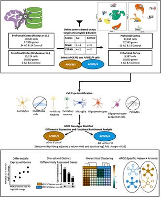 Frontiers | Bioinformatics Analysis of Publicly Available Single